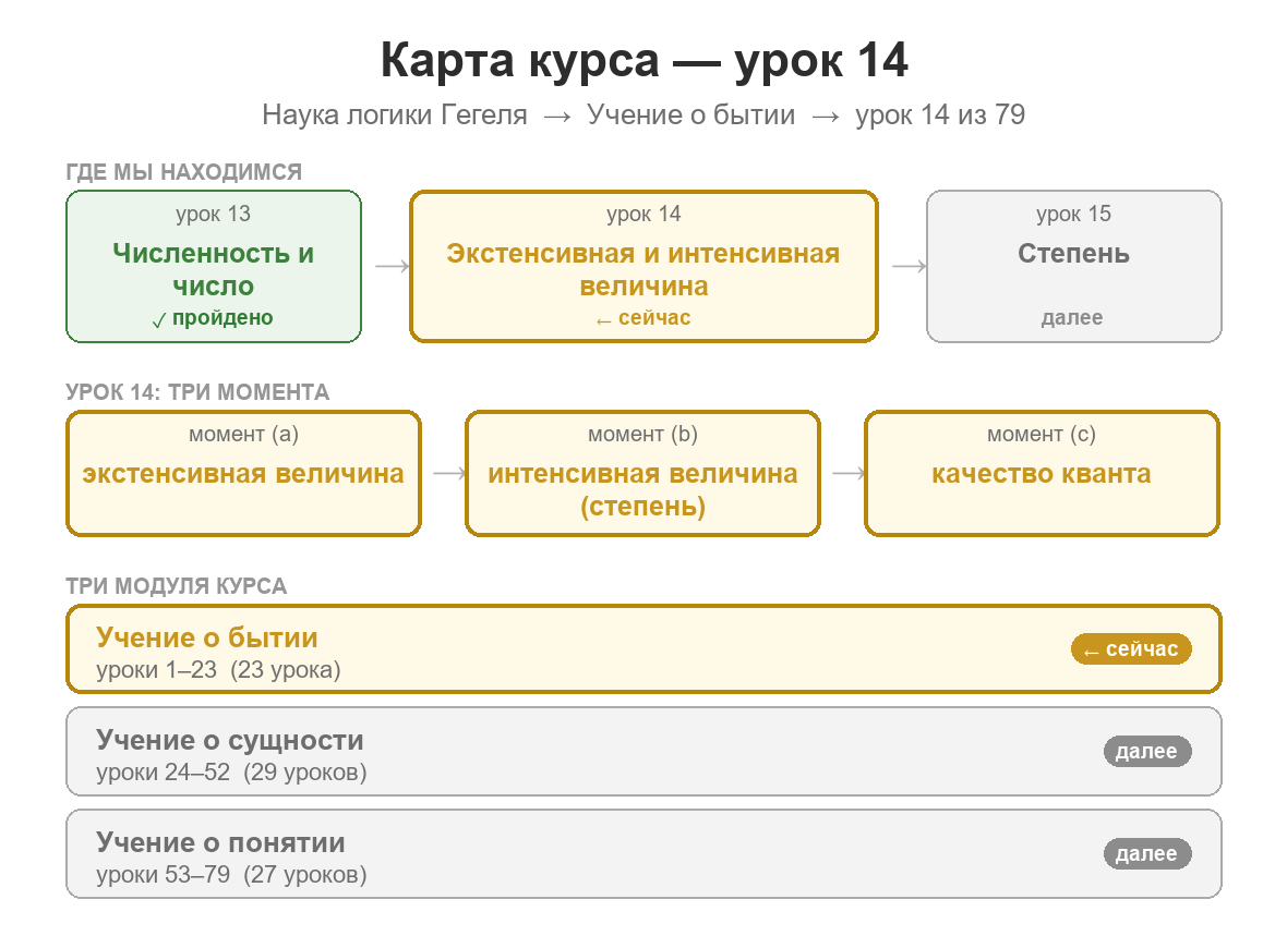 Карта курса: урок 14 из 79; пройден урок 13 о численности, единице и числе; сейчас изучаются экстенсивная величина, интенсивная величина и качество определённого количества; далее — продолжение движения количества